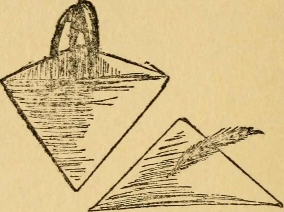 An illustration from A practical system in folding, cutting and modeling, &c., 1908, leaf 29