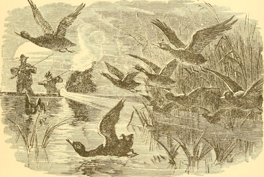An illustration from Practical taxidermy, and home decoration : together with general information for sportsmen, 1880, leaf 102