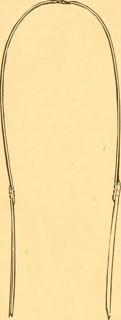 An illustration from Practical taxidermy, and home decoration : together with general information for sportsmen, 1880, leaf 149