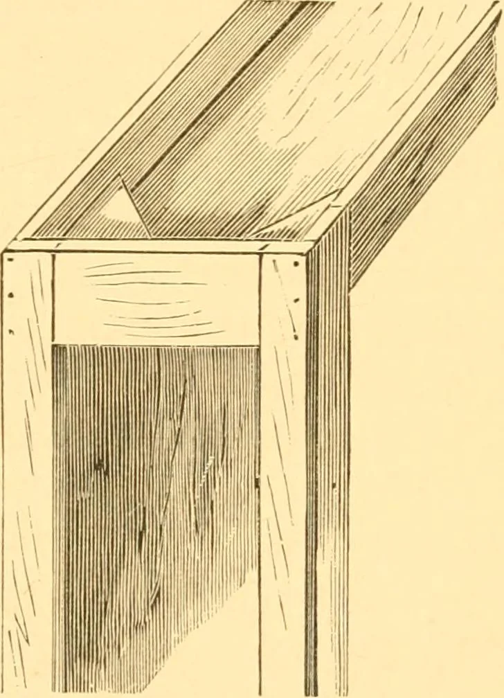 An illustration from Practical taxidermy, and home decoration : together with general information for sportsmen, 1880, leaf 160