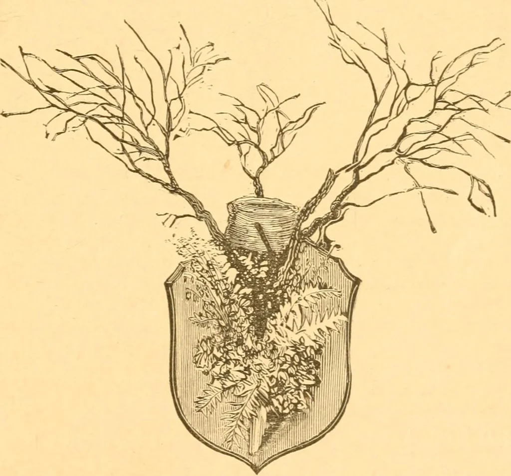 An illustration from Practical taxidermy, and home decoration : together with general information for sportsmen, 1880, leaf 182
