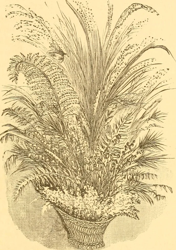 An illustration from Practical taxidermy, and home decoration : together with general information for sportsmen, 1880, leaf 198