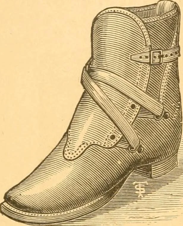An illustration from Practical taxidermy, and home decoration : together with general information for sportsmen, 1880, leaf 21