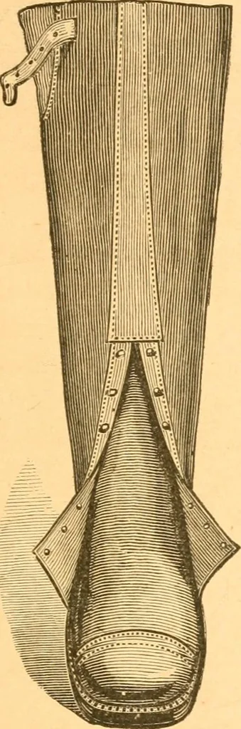 An illustration from Practical taxidermy, and home decoration : together with general information for sportsmen, 1880, leaf 22