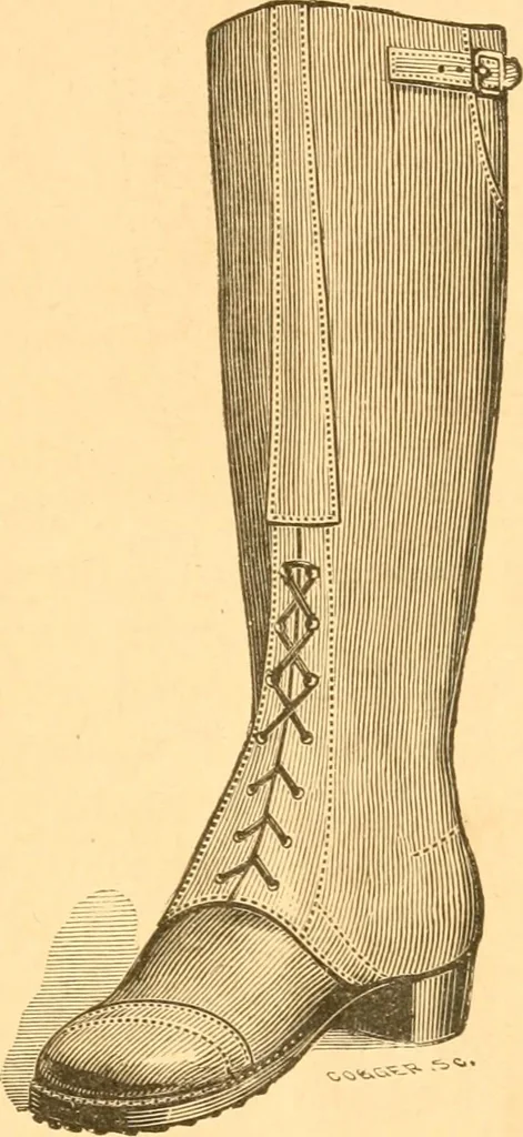 An illustration from Practical taxidermy, and home decoration : together with general information for sportsmen, 1880, leaf 22