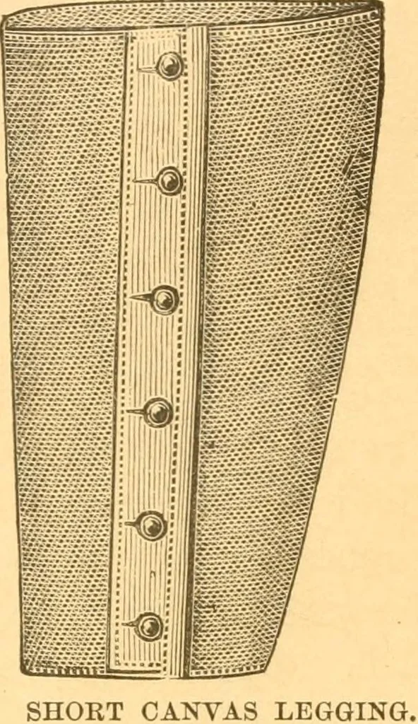 An illustration from Practical taxidermy, and home decoration : together with general information for sportsmen, 1880, leaf 23
