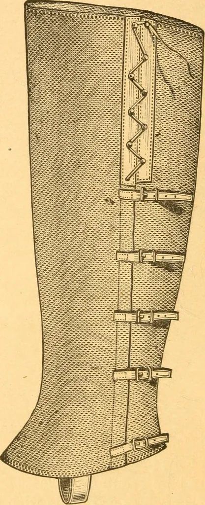 An illustration from Practical taxidermy, and home decoration : together with general information for sportsmen, 1880, leaf 23