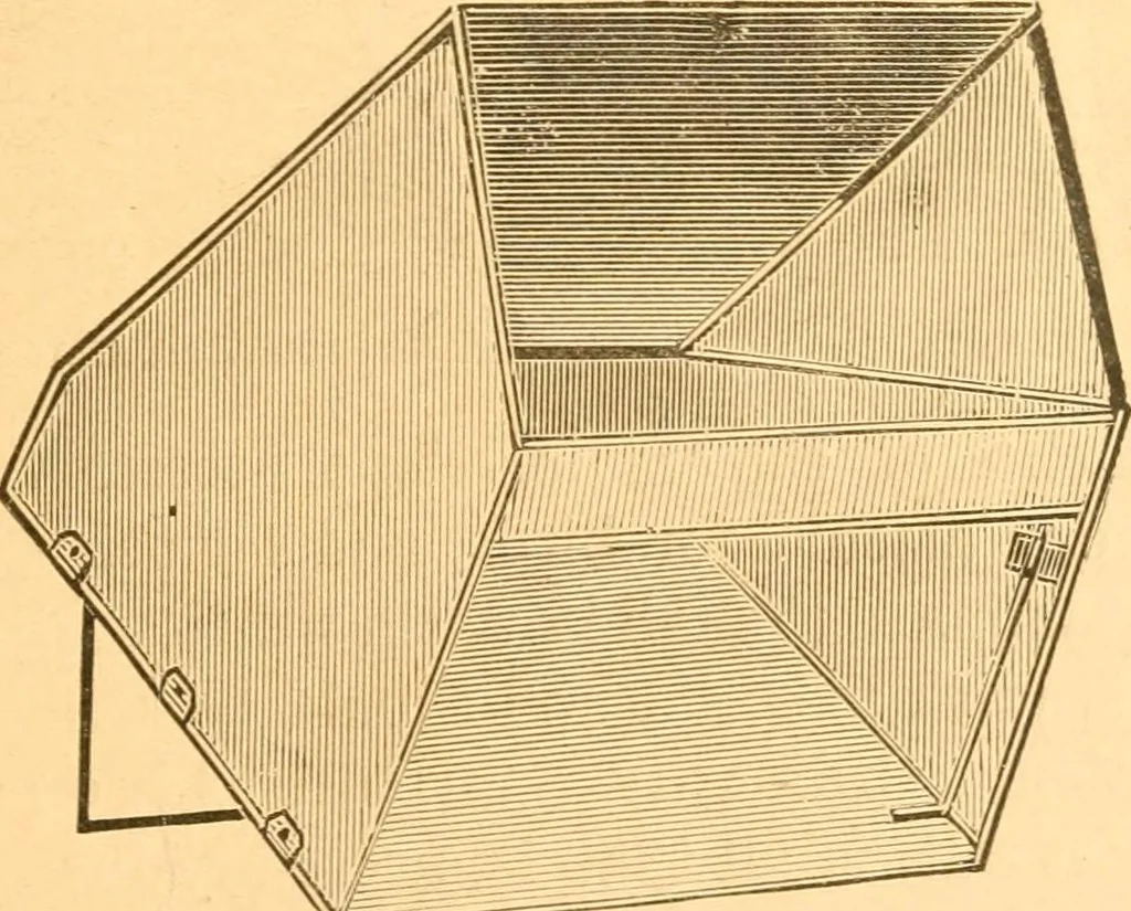 An illustration from Practical taxidermy, and home decoration : together with general information for sportsmen, 1880, leaf 24