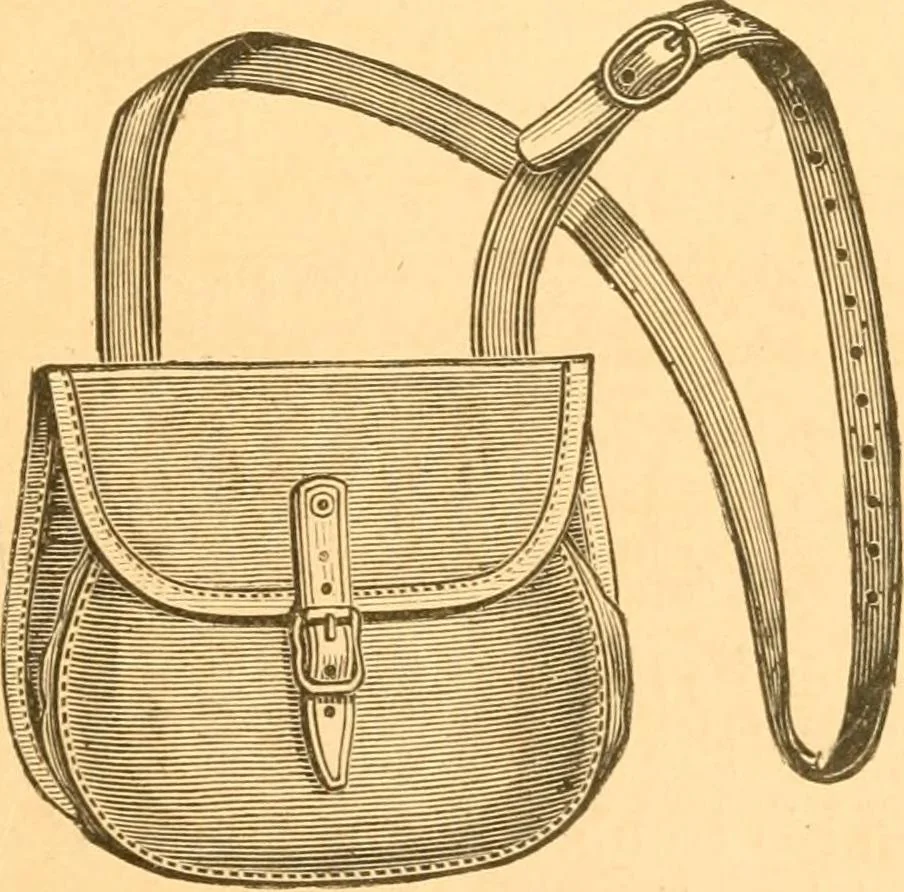 An illustration from Practical taxidermy, and home decoration : together with general information for sportsmen, 1880, leaf 26
