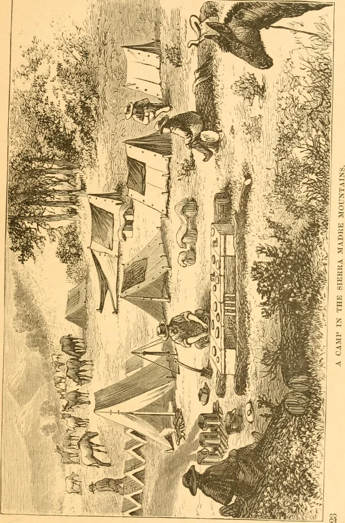 An illustration from Practical taxidermy, and home decoration : together with general information for sportsmen, 1880, leaf 28