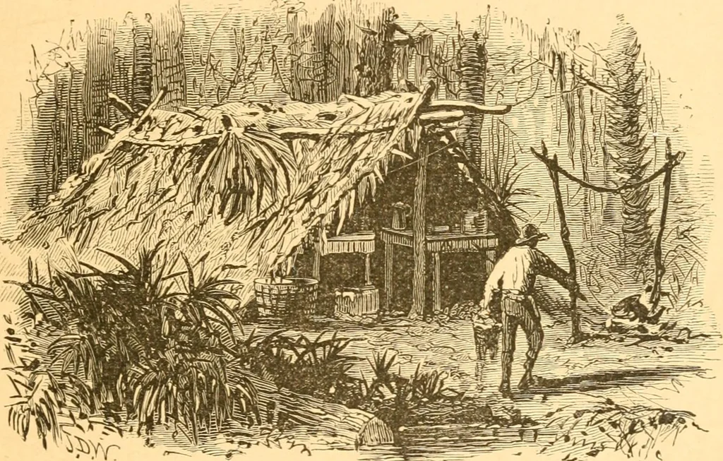 An illustration from Practical taxidermy, and home decoration : together with general information for sportsmen, 1880, leaf 30