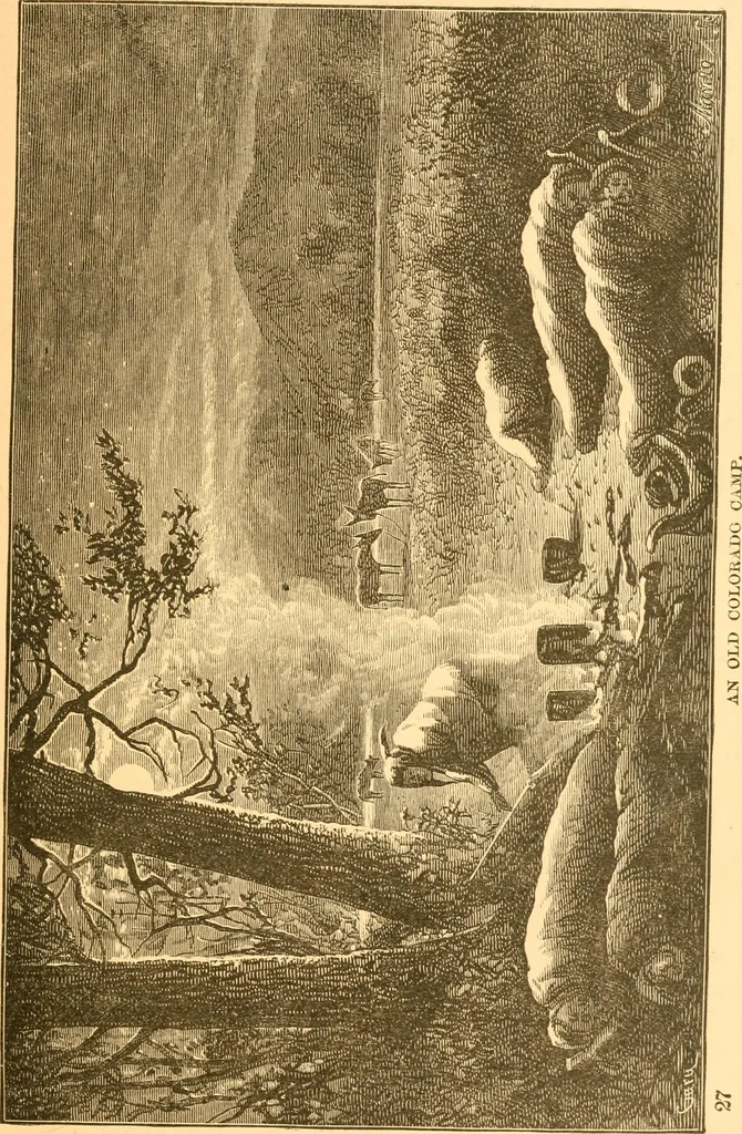 An illustration from Practical taxidermy, and home decoration : together with general information for sportsmen, 1880, leaf 32