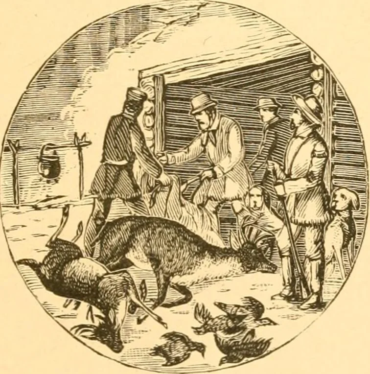 An illustration from Practical taxidermy, and home decoration : together with general information for sportsmen, 1880, leaf 34