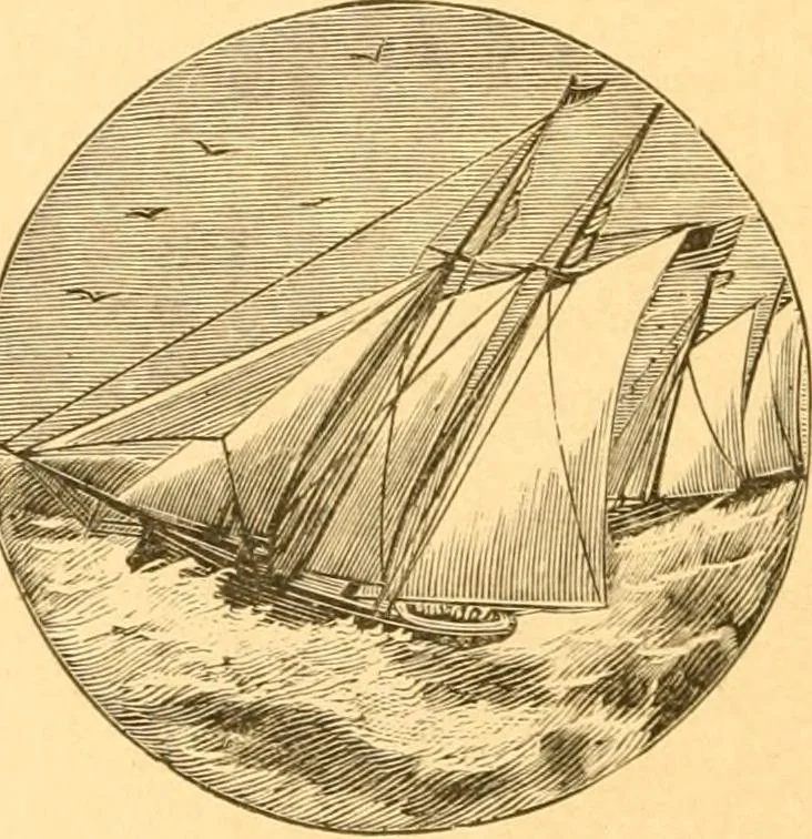 An illustration from Practical taxidermy, and home decoration : together with general information for sportsmen, 1880, leaf 37