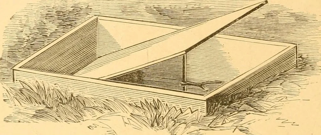 An illustration from Practical taxidermy, and home decoration : together with general information for sportsmen, 1880, leaf 39