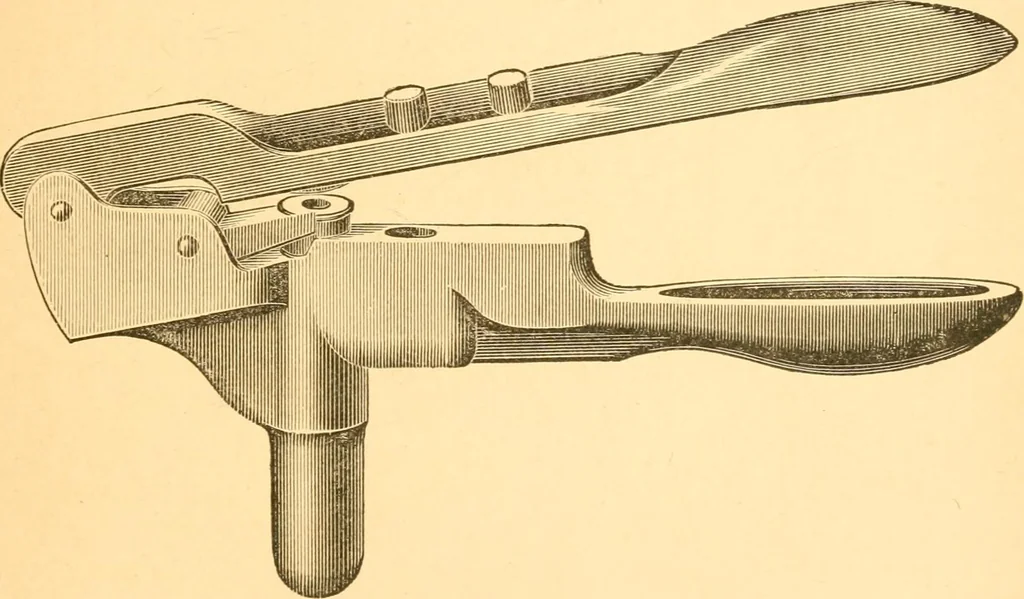 An illustration from Practical taxidermy, and home decoration : together with general information for sportsmen, 1880, leaf 48