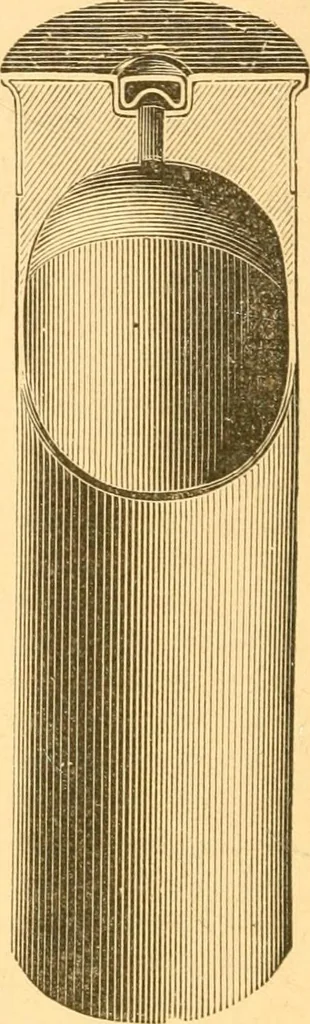 An illustration from Practical taxidermy, and home decoration : together with general information for sportsmen, 1880, leaf 49