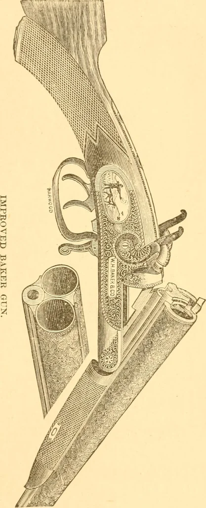 An illustration from Practical taxidermy, and home decoration : together with general information for sportsmen, 1880, leaf 50