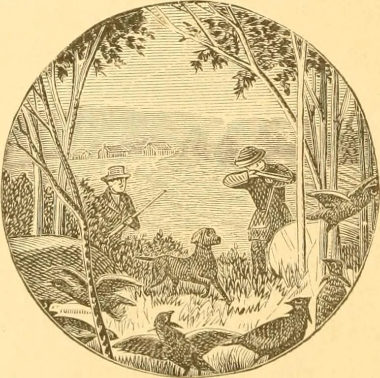 An illustration from Practical taxidermy, and home decoration : together with general information for sportsmen, 1880, leaf 57