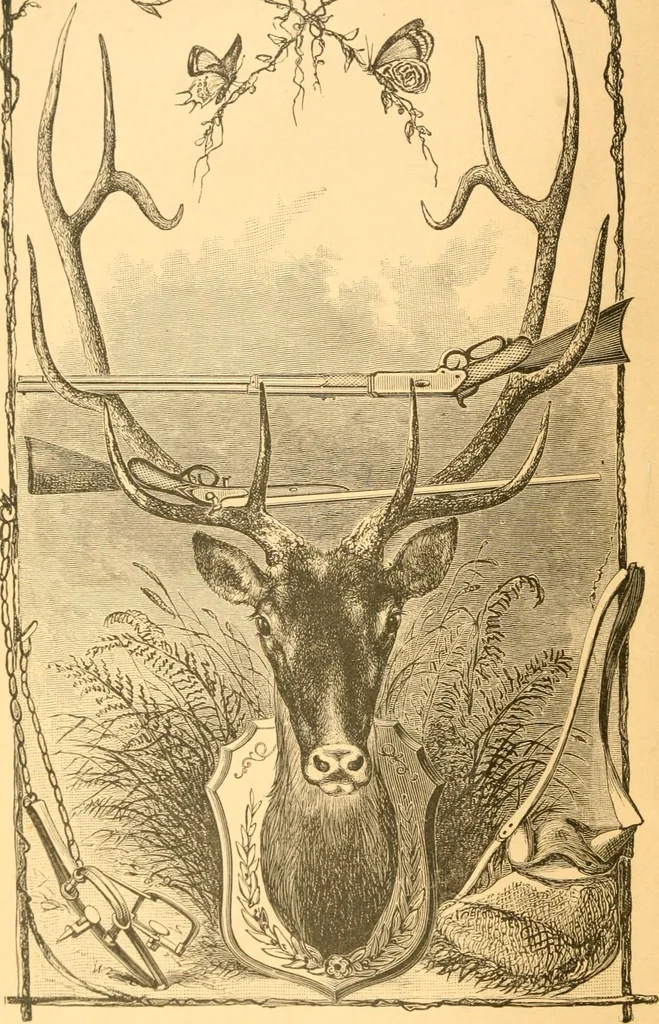 An illustration from Practical taxidermy, and home decoration : together with general information for sportsmen, 1880, leaf 7