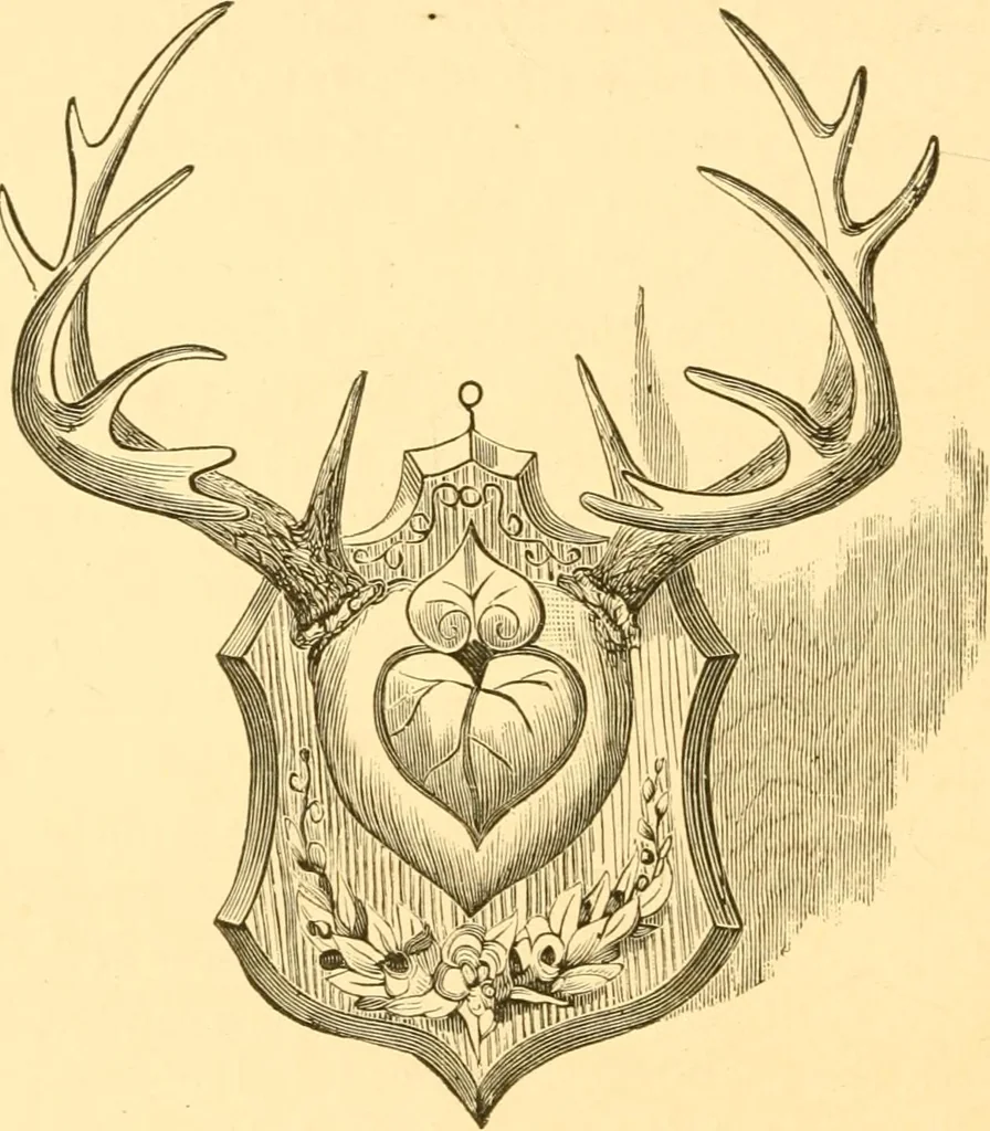 An illustration from Practical taxidermy, and home decoration : together with general information for sportsmen, 1880, leaf 79