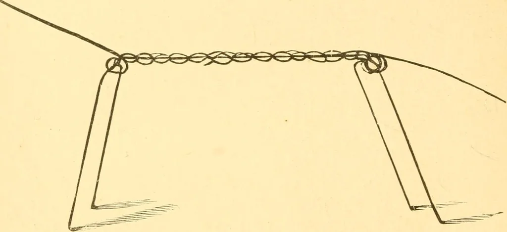 An illustration from Practical taxidermy, and home decoration : together with general information for sportsmen, 1880, leaf 87