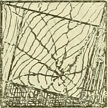 An illustration from The practical telephone handbook and guide to the telephonic exchange, 1906, leaf 149