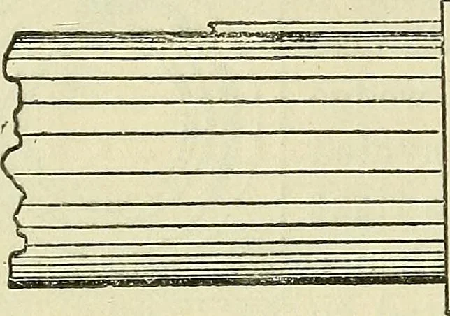 An illustration from The practical telephone handbook and guide to the telephonic exchange, 1906, leaf 173