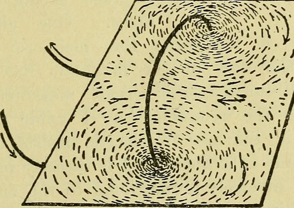 An illustration from The practical telephone handbook and guide to the telephonic exchange, 1906, leaf 36