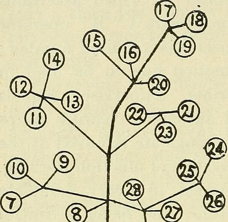 An illustration from The practical telephone handbook and guide to the telephonic exchange, 1906, leaf 527