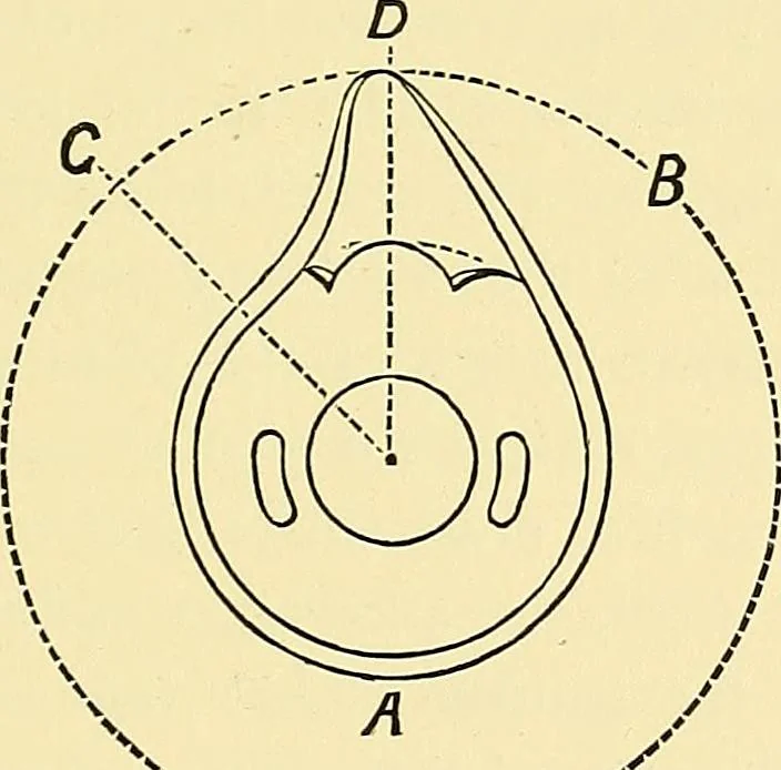 An illustration from A practical treatise on weaving and designing of textile fabrics : with chapters on the principles of construction of the loom, calculations and colour, 1879, leaf 102