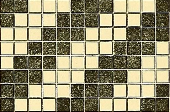 An illustration from A practical treatise on weaving and designing of textile fabrics : with chapters on the principles of construction of the loom, calculations and colour, 1879, leaf 141