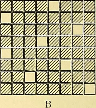 An illustration from A practical treatise on weaving and designing of textile fabrics : with chapters on the principles of construction of the loom, calculations and colour, 1879, leaf 199