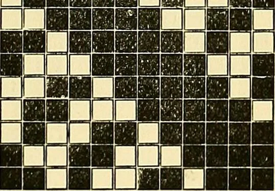 An illustration from A practical treatise on weaving and designing of textile fabrics : with chapters on the principles of construction of the loom, calculations and colour, 1879, leaf 210