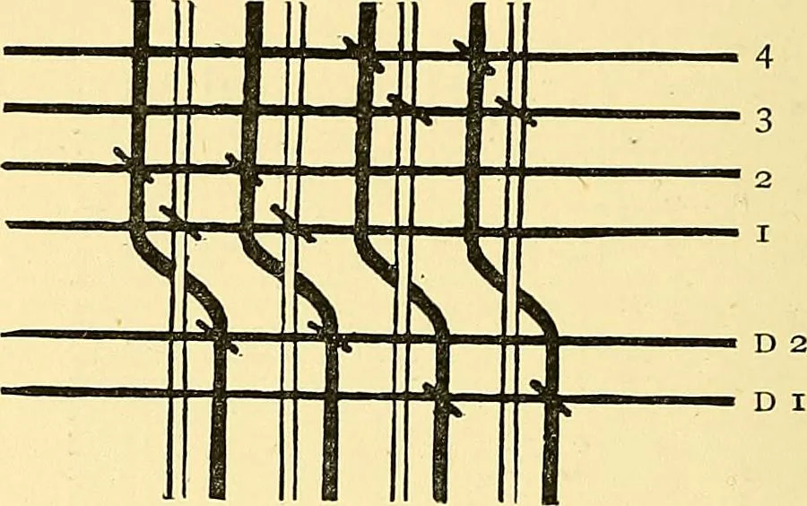 An illustration from A practical treatise on weaving and designing of textile fabrics : with chapters on the principles of construction of the loom, calculations and colour, 1879, leaf 249
