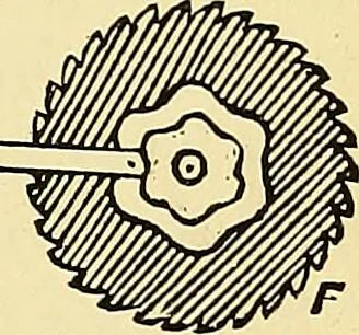 An illustration from A practical treatise on weaving and designing of textile fabrics : with chapters on the principles of construction of the loom, calculations and colour, 1879, leaf 252