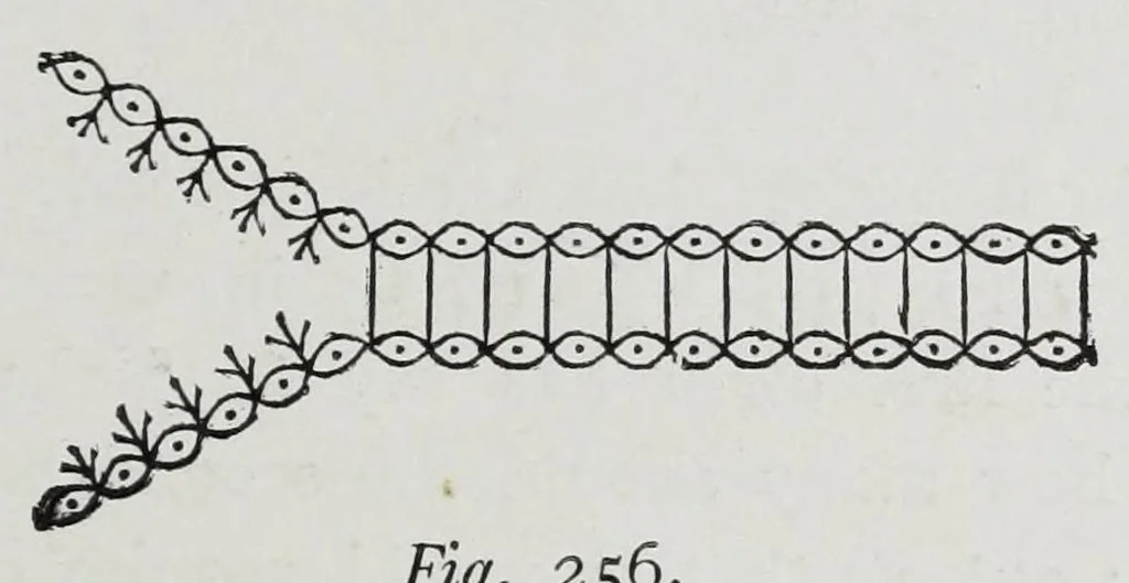 An illustration from A practical treatise on weaving and designing of textile fabrics : with chapters on the principles of construction of the loom, calculations, and colour, 1885, leaf 273