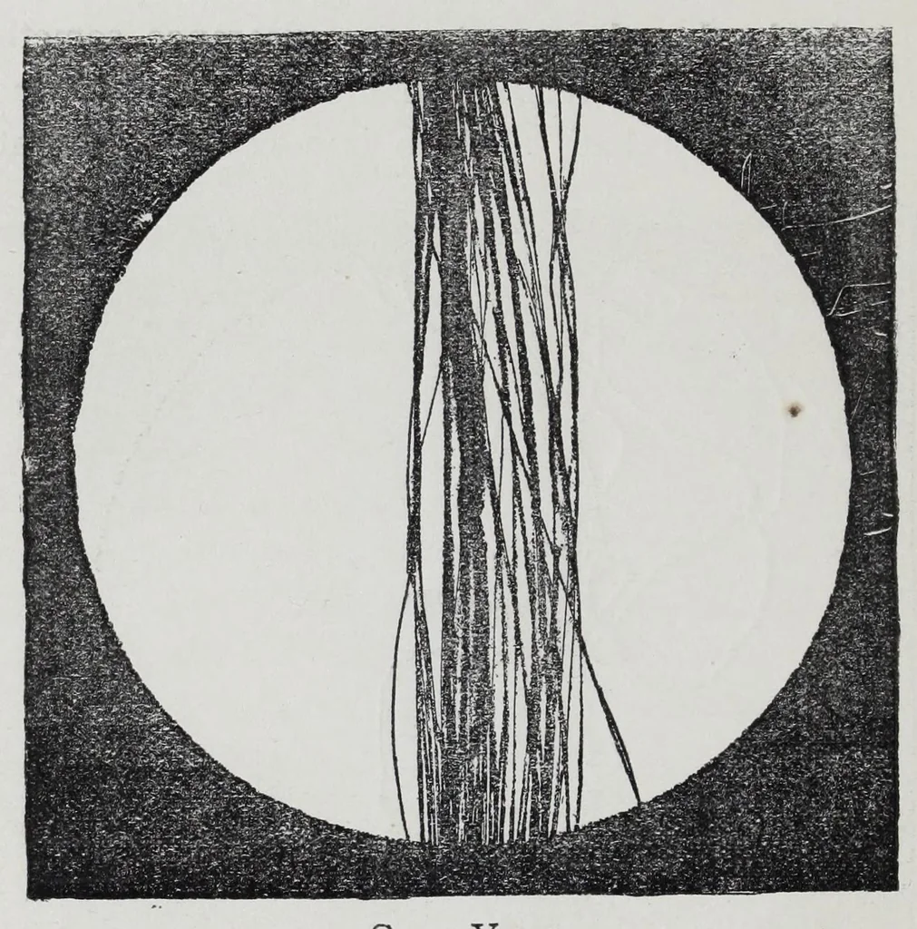 An illustration from A practical treatise on weaving and designing of textile fabrics : with chapters on the principles of construction of the loom, calculations, and colour, 1885, leaf 370