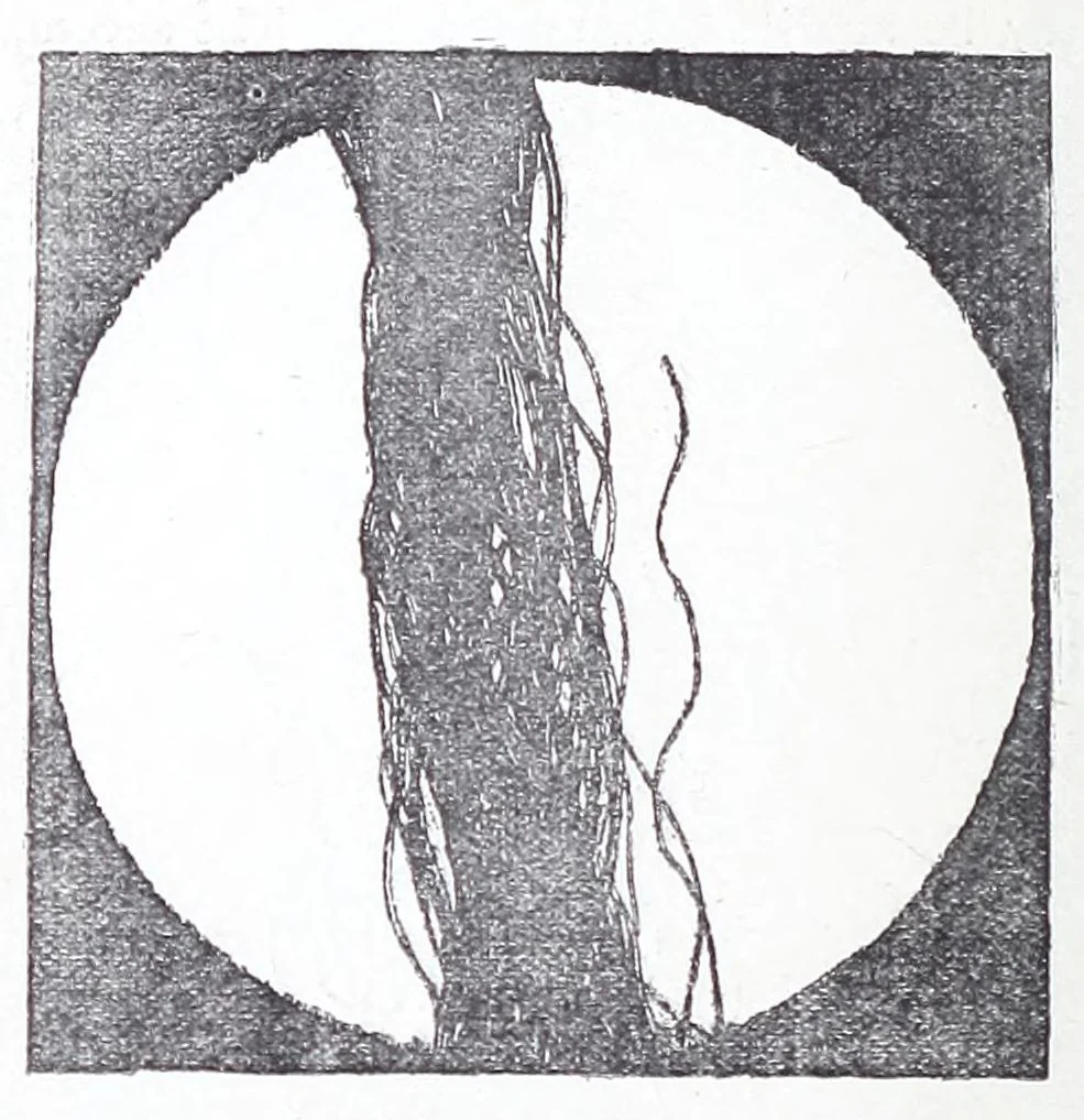 An illustration from A practical treatise on weaving and designing of textile fabrics : with chapters on the principles of construction of the loom, calculations, and colour, 1885, leaf 368