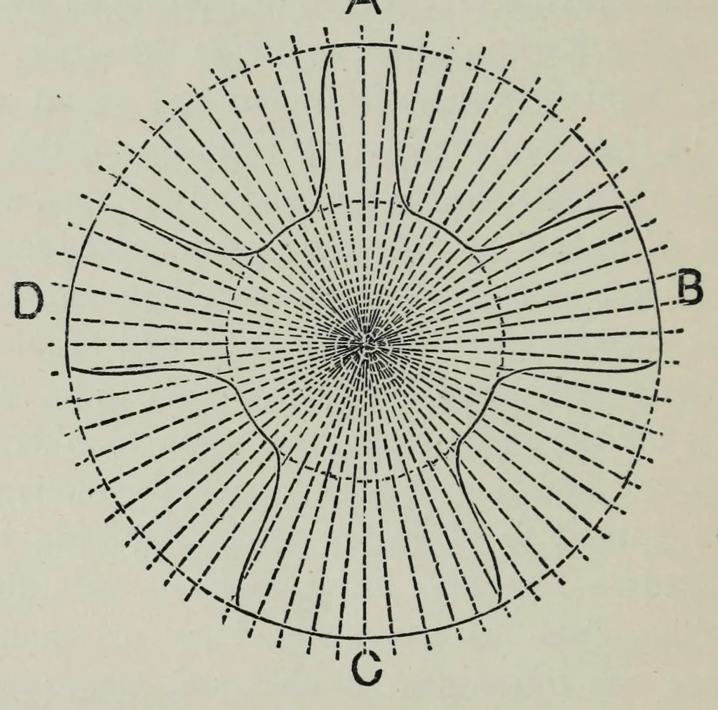 An illustration from A practical treatise on the construction of the power-loom and the art of weaving : all descriptions of texture produced by leaves of heddles : illustrated with diagrams, with calculations and instructions for the production of cotton, woollen, linen, and jute fabrics : intended as a textbook for those engaged in the trade, 1883, leaf 44