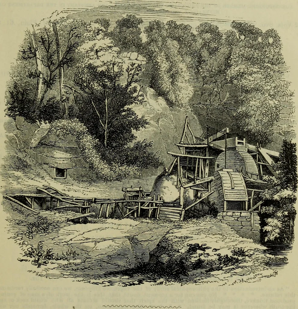 An illustration from A practical treatise on the use of the microscope, including the different methods of preparing and examining animal, vegetable, and mineral structures, 1848, leaf 10