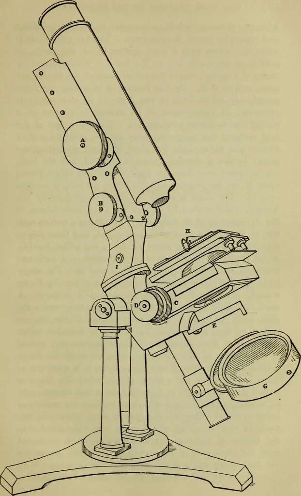 An illustration from A practical treatise on the use of the microscope, including the different methods of preparing and examining animal, vegetable, and mineral structures, 1848, leaf 110