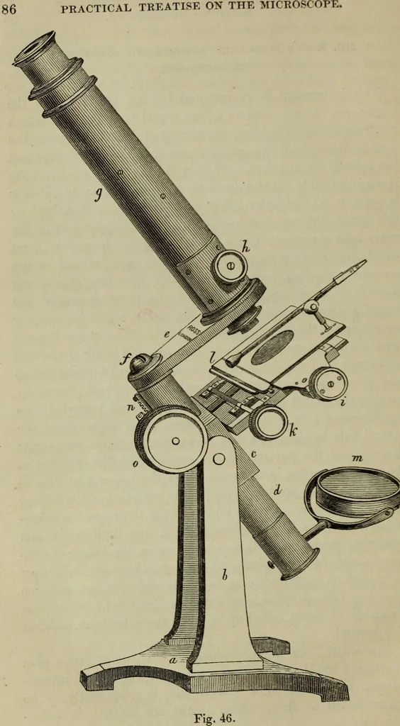 An illustration from A practical treatise on the use of the microscope, including the different methods of preparing and examining animal, vegetable, and mineral structures, 1848, leaf 121