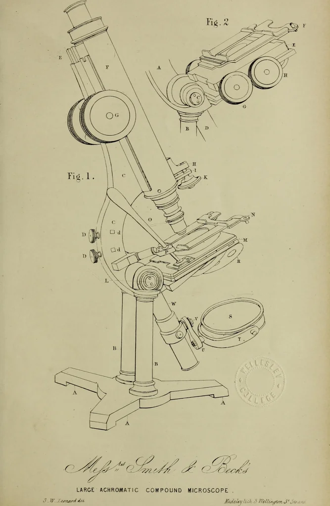 An illustration from A practical treatise on the use of the microscope, including the different methods of preparing and examining animal, vegetable, and mineral structures, 1848, leaf 124