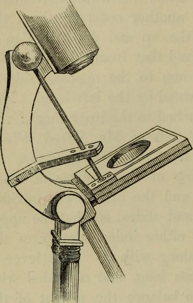 An illustration from A practical treatise on the use of the microscope, including the different methods of preparing and examining animal, vegetable, and mineral structures, 1848, leaf 127