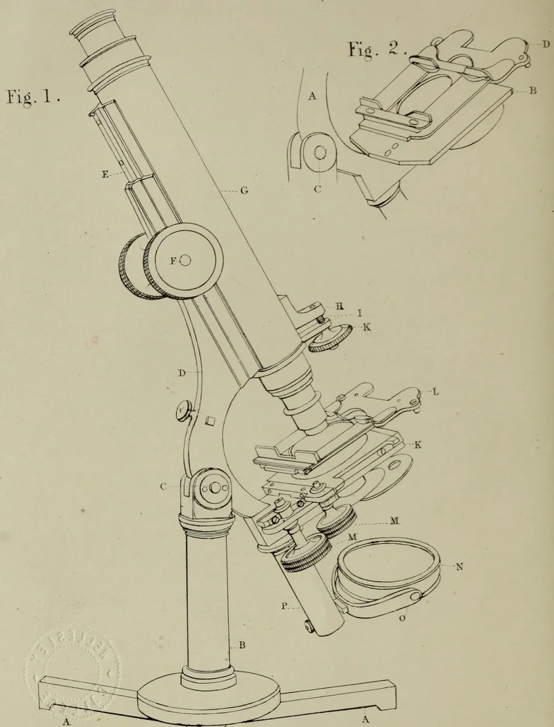 An illustration from A practical treatise on the use of the microscope, including the different methods of preparing and examining animal, vegetable, and mineral structures, 1848, leaf 129