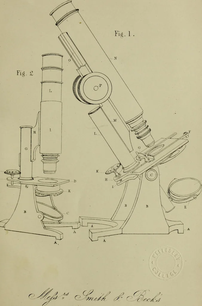 An illustration from A practical treatise on the use of the microscope, including the different methods of preparing and examining animal, vegetable, and mineral structures, 1848, leaf 132