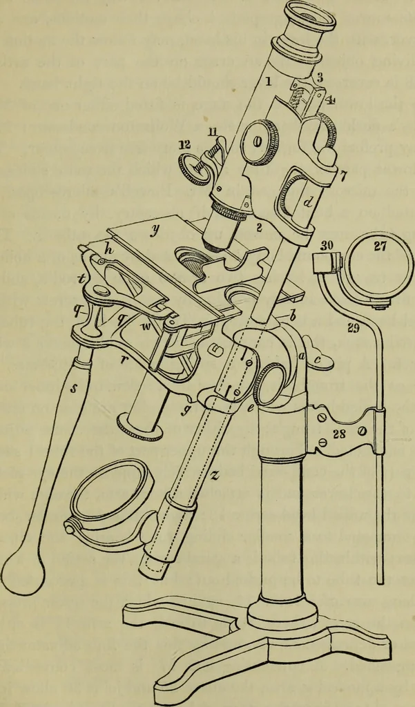 An illustration from A practical treatise on the use of the microscope, including the different methods of preparing and examining animal, vegetable, and mineral structures, 1848, leaf 136