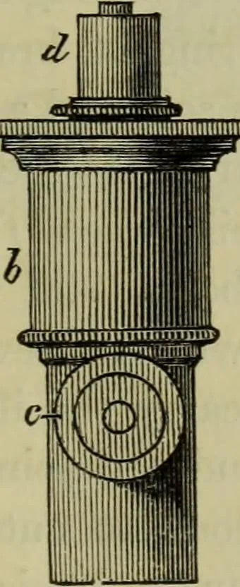 An illustration from A practical treatise on the use of the microscope, including the different methods of preparing and examining animal, vegetable, and mineral structures, 1848, leaf 142