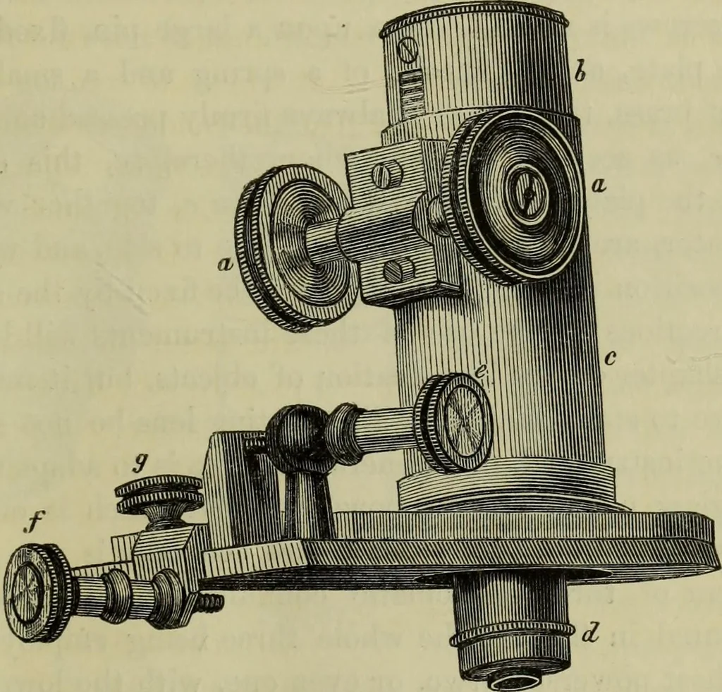 An illustration from A practical treatise on the use of the microscope, including the different methods of preparing and examining animal, vegetable, and mineral structures, 1848, leaf 144